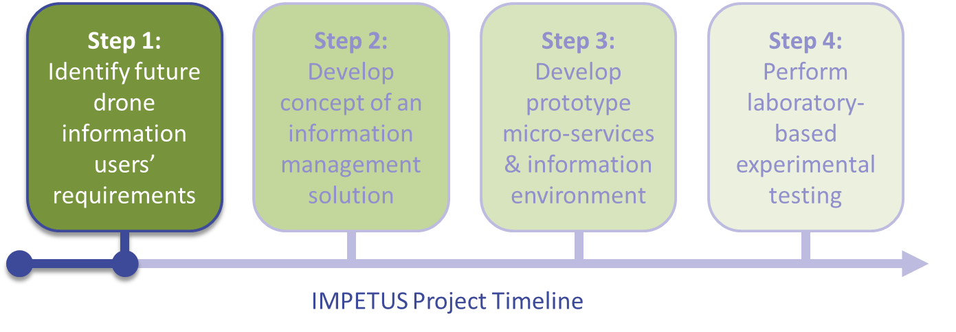 IMPETUS%20Project%20Timeline.png